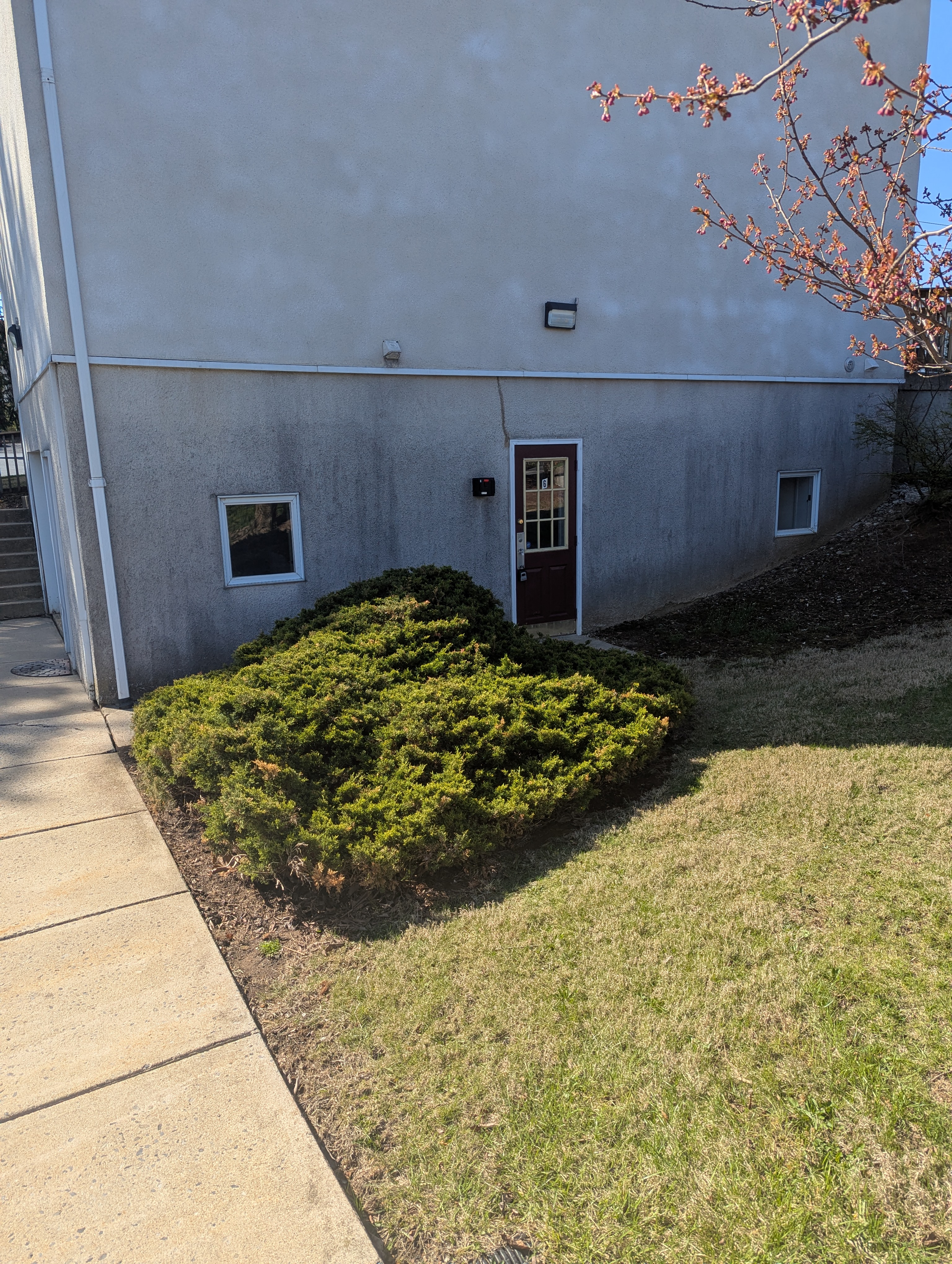 5239 Hamilton Blvd, Allentown, Pennsylvania 18106, ,Office,For Lease,5239 Hamilton Blvd,1119