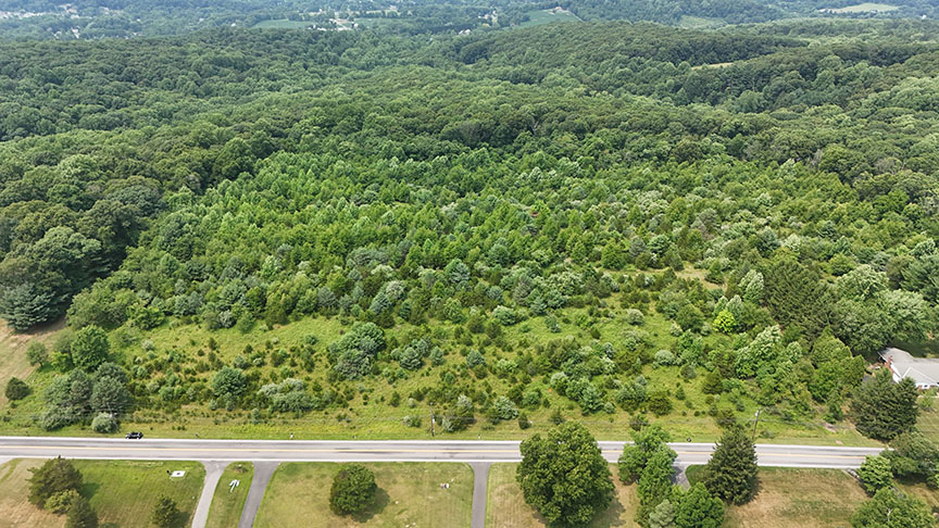 1709 Flint Hill Rd, Coopersburg, Pennsylvania 18036, ,Land,For Sale,1709 Flint Hill Rd,1223 1709 Flint Hill Rd, Coopersburg, Pennsylvania 18036, ,Land,For Sale,1709 Flint Hill Rd,1223