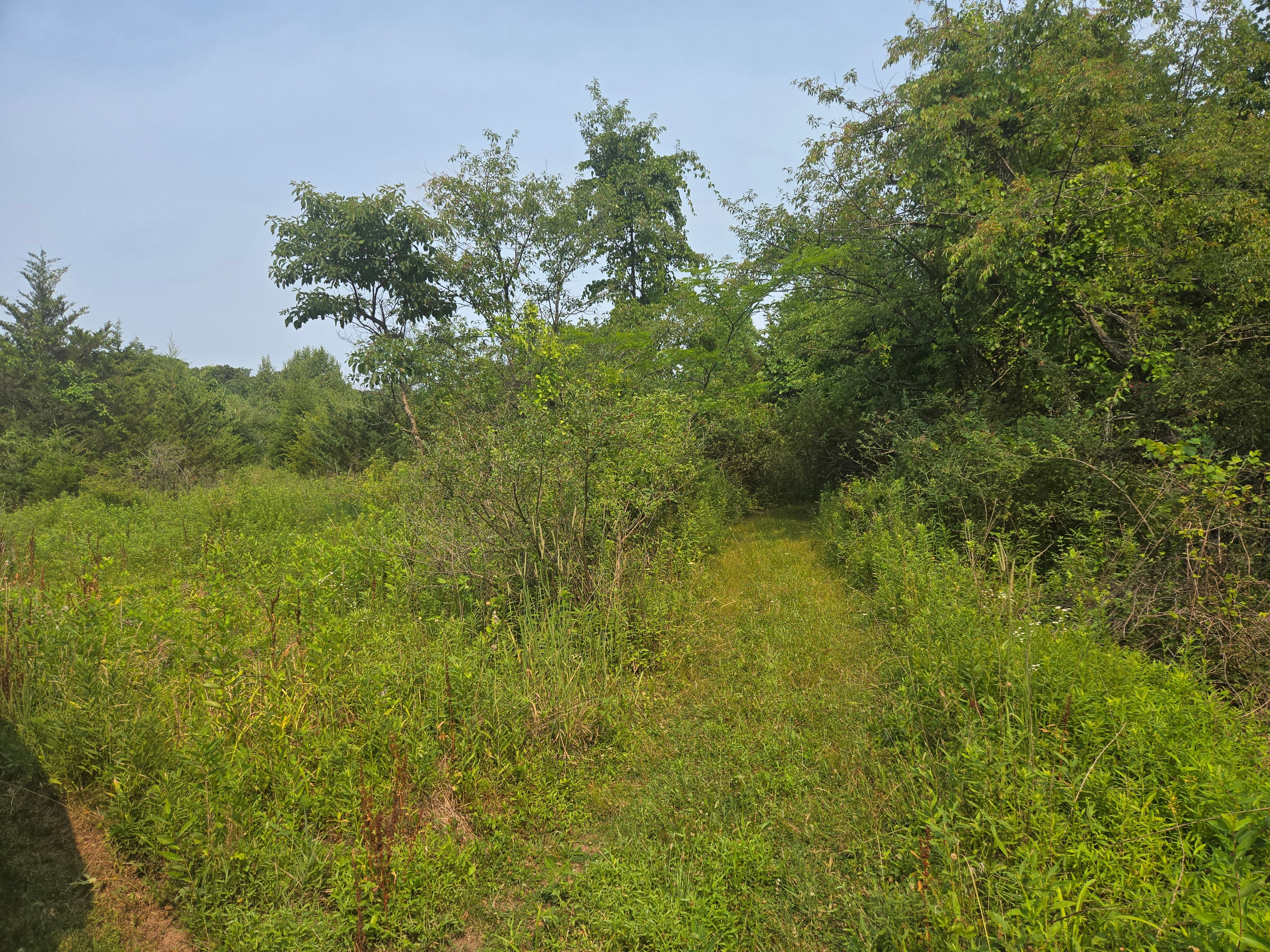 1709 Flint Hill Rd, Coopersburg, Pennsylvania 18036, ,Land,For Sale,1709 Flint Hill Rd,1223